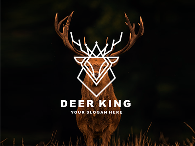 Deer Logo design abstract branding creative deer design illustration ilustrtions king king logo logo logo deer logo logo design logo dribble modern typography ui vector