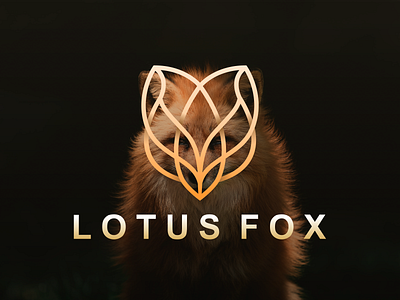 Lotus fox logo design