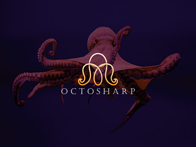 Octosharp logo design abstract branding creative design dribble awesome illustration logo logo awesome logo design modern octopus octopus logo typography ui vector