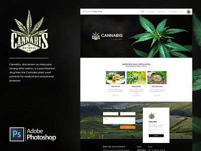 CBD - Product Landing Page cannabis cannabis branding cannabis packaging cbd cbd packaging clean ui healthcare landing page design marijuana marijuana convention marijuana for sale medical care medical design minimal minimalist minimalistic product design responsive web design wellness wellness center