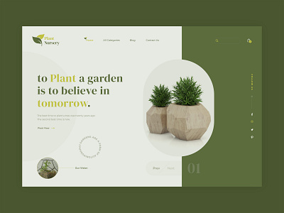 Plant Nursery Landing Page clean ui grow interiors landing page design minimalistic nature nature art nursery nursery art organic organics plant shop planting plants potted plants product design product page responsive web design seed seedling