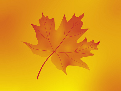 Mapple leaf