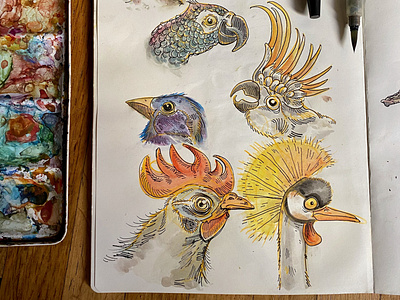 Bird Mural Sketches