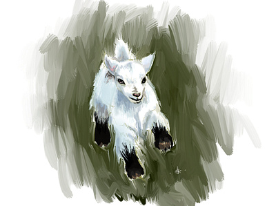 Sketch of baby goat animal digitalart digitalillustration goat illustration sketch