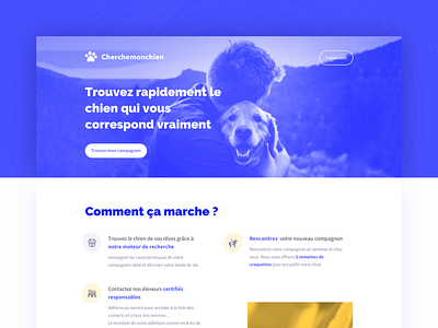 Pet adoption - landing adoption dog landing landing page pet sketch ui ux