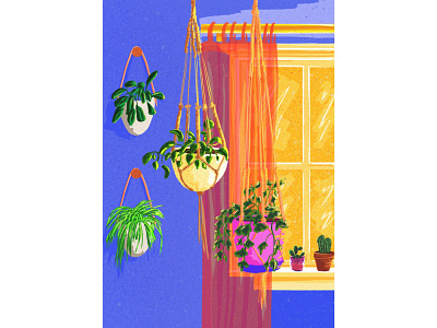 Hanging plants blue colorful art colour colourful digitalart illustration illustrator plant drawing plant illustration plants procreate sunlight