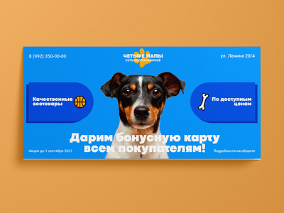 Flyer design for a pet store, v.2. Дизайн еврофлаера, v.2. design graphic design ui