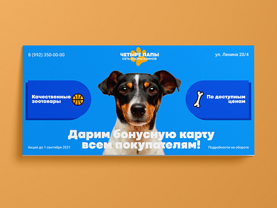 Flyer design for a pet store, v.2. Дизайн еврофлаера, v.2.