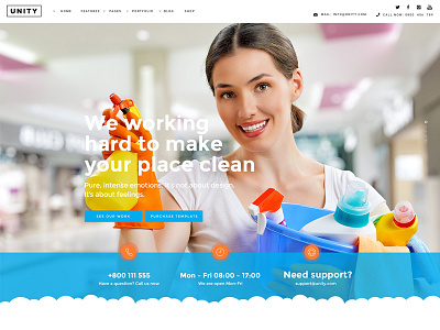 Unity Theme - Cleaning cleaning pixelzeesh theme unity website