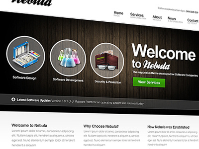 Nebula - Responsive Software Development Wordpress Theme development responsive software wordpress