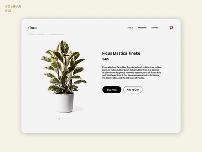 E-Commerce Shop. Single Item. Daily UI: 012