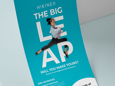 BRIGHTSANDDESIGNS Hikinex The Big Leap Flyer