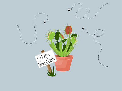 Venus Fly Trap fly graphic design illustration illustrator plants vector vector illustration venus fly