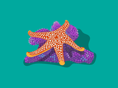 Starfish design illustration sea sea creature star starfish vector vector illustration