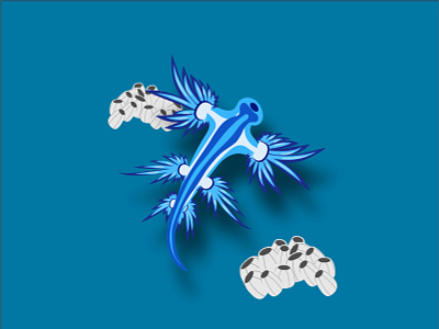 Blue Glaucus Sea Slug illustration ocean sea sea creature sea slug slug vector vector illustration