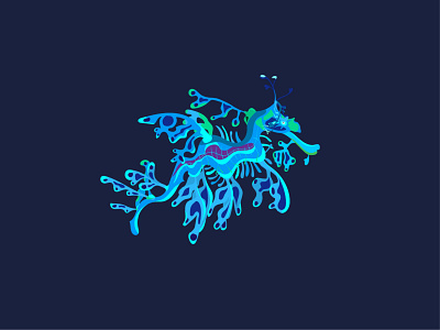 Leafy Sea Dragon