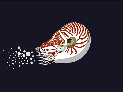 Nautilus bubbles cephalopod deep sea illustration nautilus ocean sea sea creature squid vector vector illustration