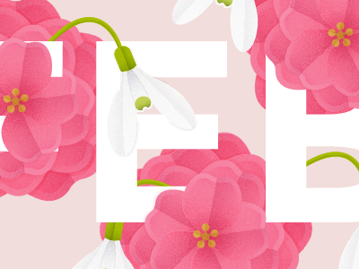 February Flowers calendar flowers illustration pink