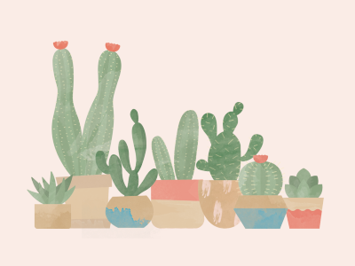 Textured cacti cactus illustration plant pot succulent