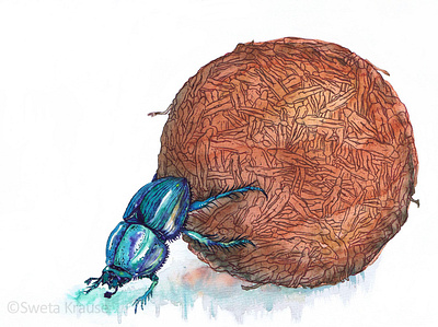 The Dungbeetle beetle dung dungbeetle editorial insect illustration insect insect illustration
