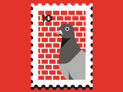 Greetings from Milano - pigeon