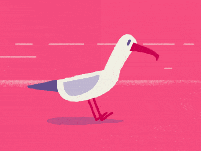 happy Seagull! animation character gif loop seagull workshop