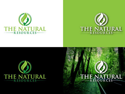 Natural Beauty Logo Design beauty beauty logo brandidentity branding cosmetics logo green hair haircare heart lady leaf logo logodesign love luxury minimal natural organic spa woman