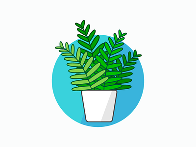 Fern botany design family fern illustration orlando plant plants