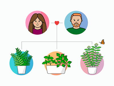 Family Plants botany butterfly design family family tree fern herb illustration milkweed monarch orlando plant