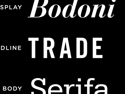 Type Hierarchy bodoni serifa trade type typography