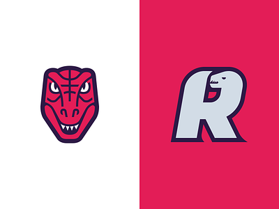 Toronto Raptors