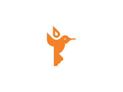 Another Goddamn Hummingbird fire hummingbird logo rebound