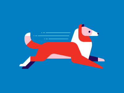 Raver Lassie [GIF] collie dog gif