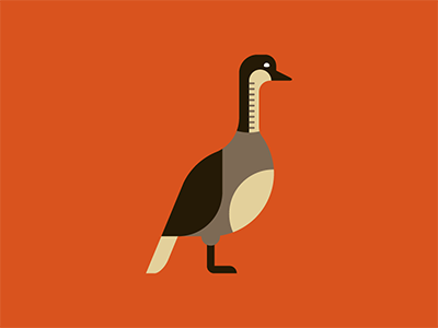 Nene by Bobby McKenna on Dribbble