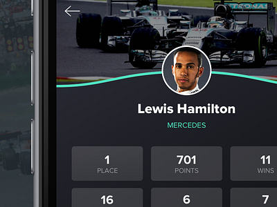 F1 Driver's Profile