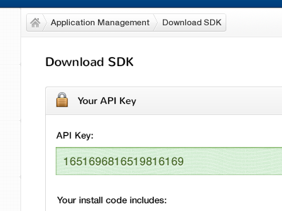 Secret key api design forms green input key sdk secret text ui