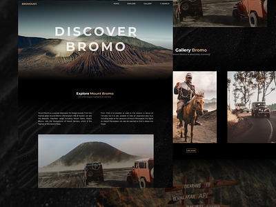 Discover Bromo Website Design bromo design landingpage mount mountain ui uidesign webdesign website