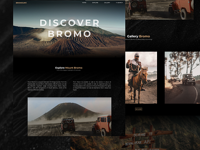 Discover Bromo Website Design