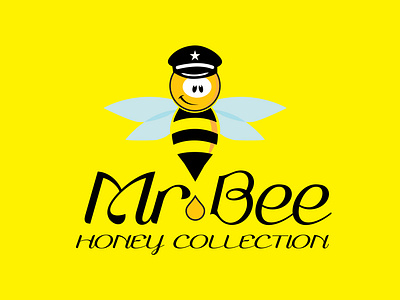 mr. bee honey collection