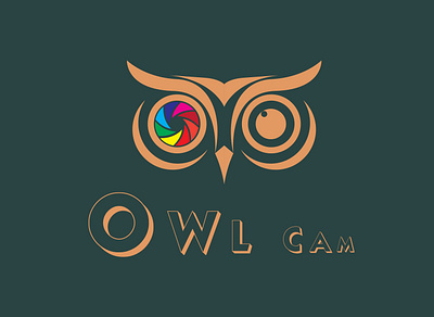 owl cam creative custom flat flatminimalist logo logodesign minimal minimalist modern vactor