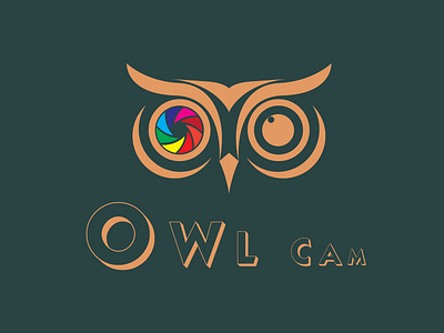 owl cam