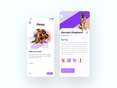 Adoption Application designs, themes, templates and downloadable graphic  elements on Dribbble