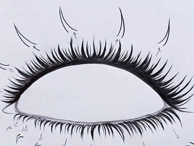 Jia Dribbble Jia Dribbble