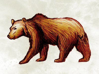 Bear bear brown brown bear animal cuddly ferocious illustration stuffed bear