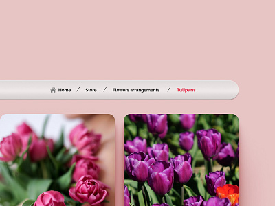 Daily UI 056 Breadcrumbs breadcrumbs daily ui 056 dailyui 056 flowers pink shopping store