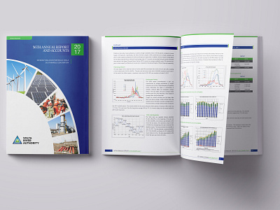 COMPANY ANNUAL REPORT