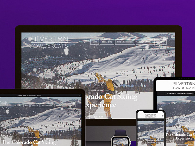 Silverton Powdercats web design