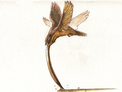 Baritone Lark creature illustration watercolor