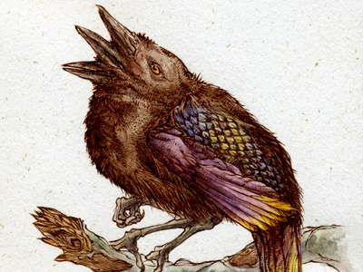 Tribeaked Sparrow creature illustration watercolor