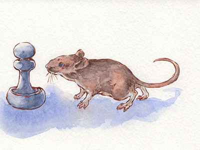 Mouse and Pawn illustration mouse watercolor